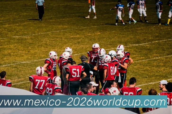 美加墨世界杯平台生态图